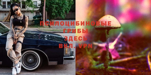 твердый Алзамай