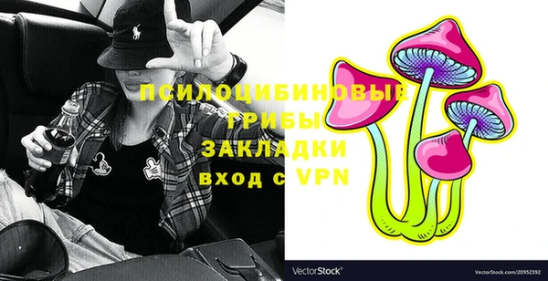 твердый Алзамай