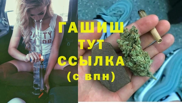 твердый Алзамай