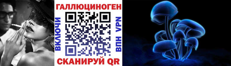 Псилоцибиновые грибы Psilocybe  Пролетарск 