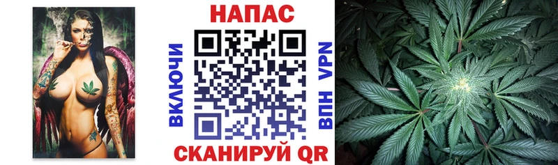 Конопля SATIVA & INDICA  Пролетарск 
